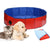 Dog pet swimming pool folded flat for easy storage