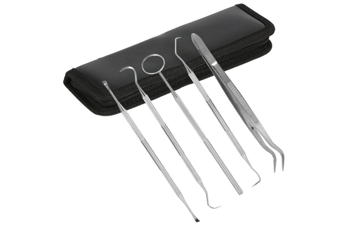 Essential Dental Hygiene Tool Kit 5pc