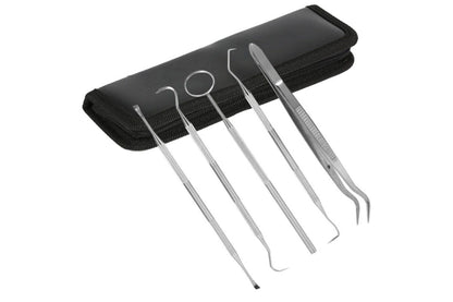 Essential Dental Hygiene Tool Kit 5pc