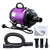 Pet hair dryer grooming blower in purple showing front view