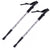 Silver trekking poles pair showing full length and foam handles