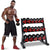 Dumbbell rack showing full 3-tier steel frame in dark colour