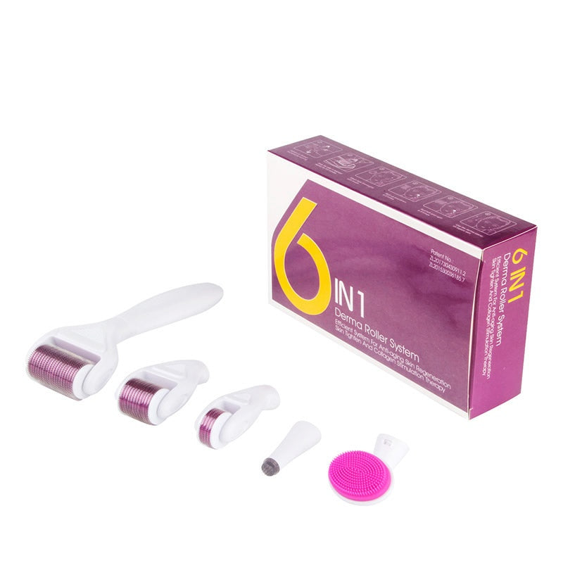 Derma roller 6 in 1 kit showing stainless steel needles close up