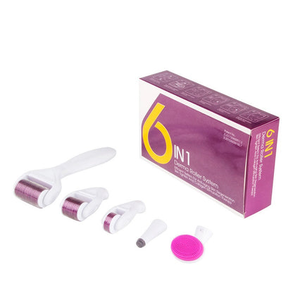 Derma roller 6 in 1 kit showing stainless steel needles close up
