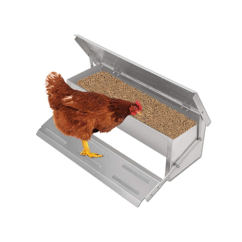 Automatic chicken feeder showing galvanised steel body