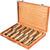 Wood carving tools set showing 12 chisels with hardwood handles