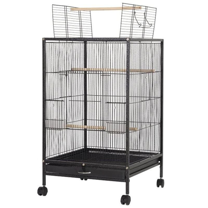 Bird cage black iron wire frame front view