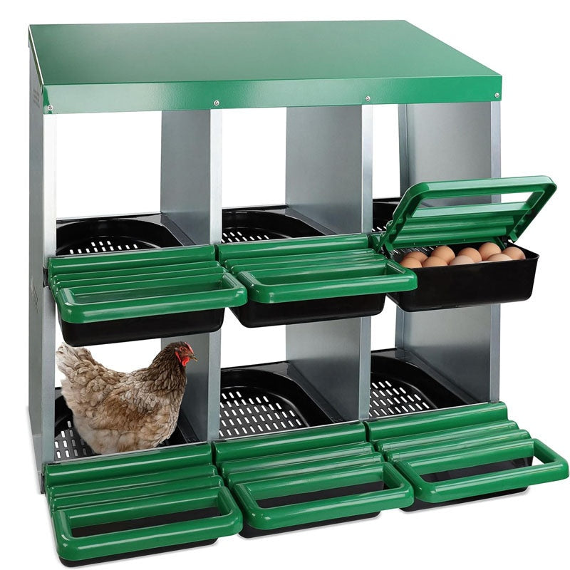Nesting box chicken hen showing six compartments and galvanised metal frame