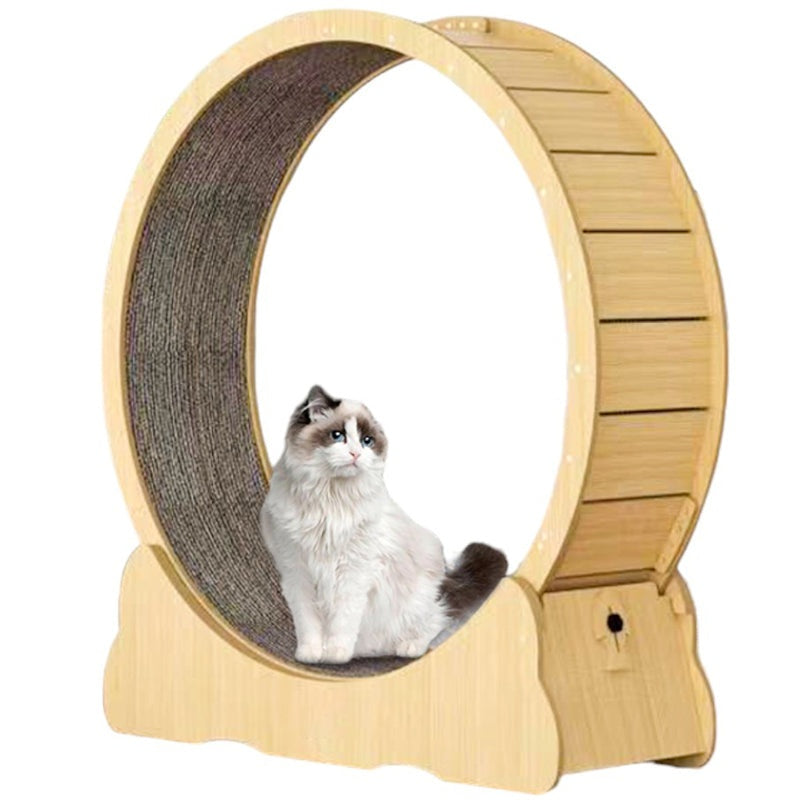 Cat Exercise Wheel Cat Scratcher Board