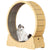 Cat Exercise Wheel Cat Scratcher Board