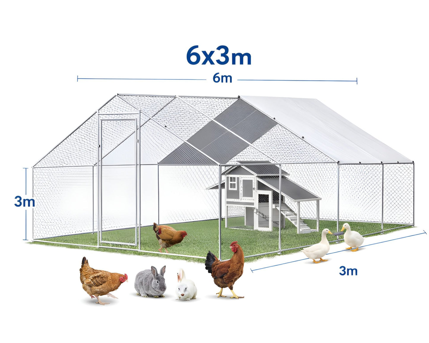 Outdoor Chicken Coop