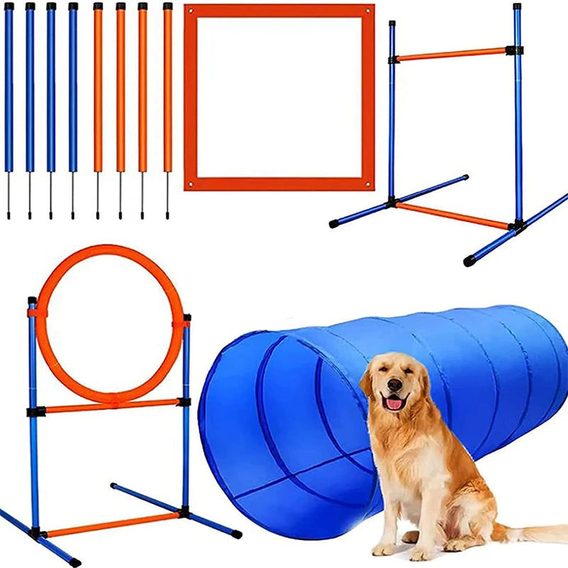 Dog agility equipment set showing lightweight ABS frame