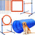 Dog agility equipment set showing lightweight ABS frame