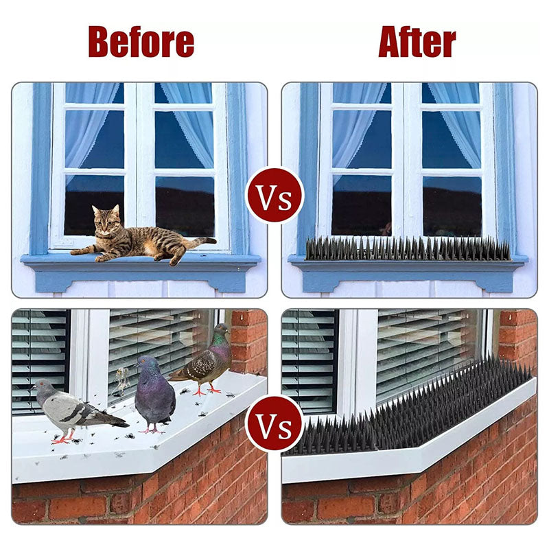 Black plastic fence spikes bird spikes protecting window sill