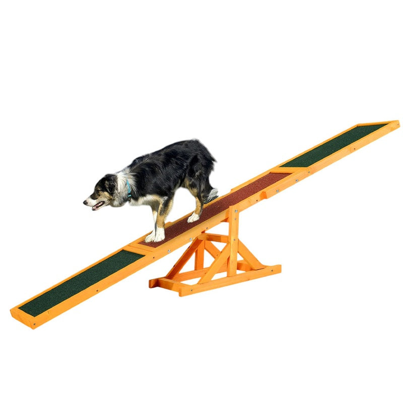 Dog agility seesaw showing full length and wooden fir construction