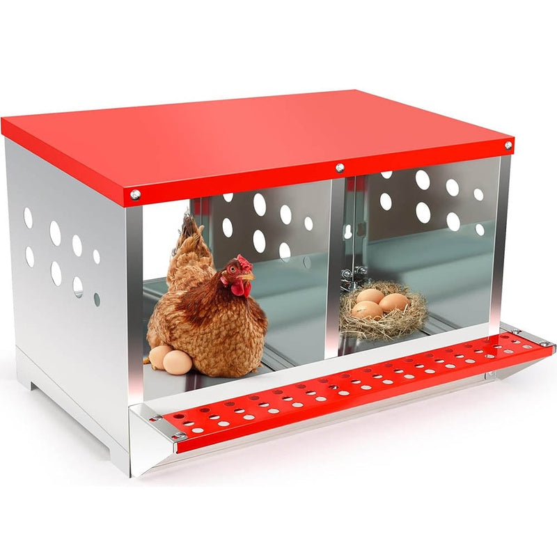 Chicken nesting box front view showing two spacious nests