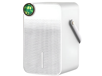 Portable Dehumidifier