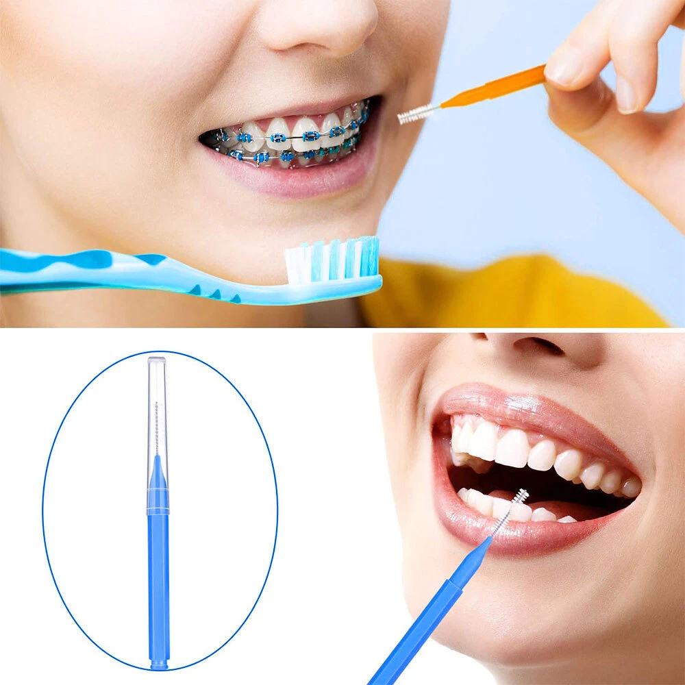 Interdental brush toothpick showing flexible bristles and wire core