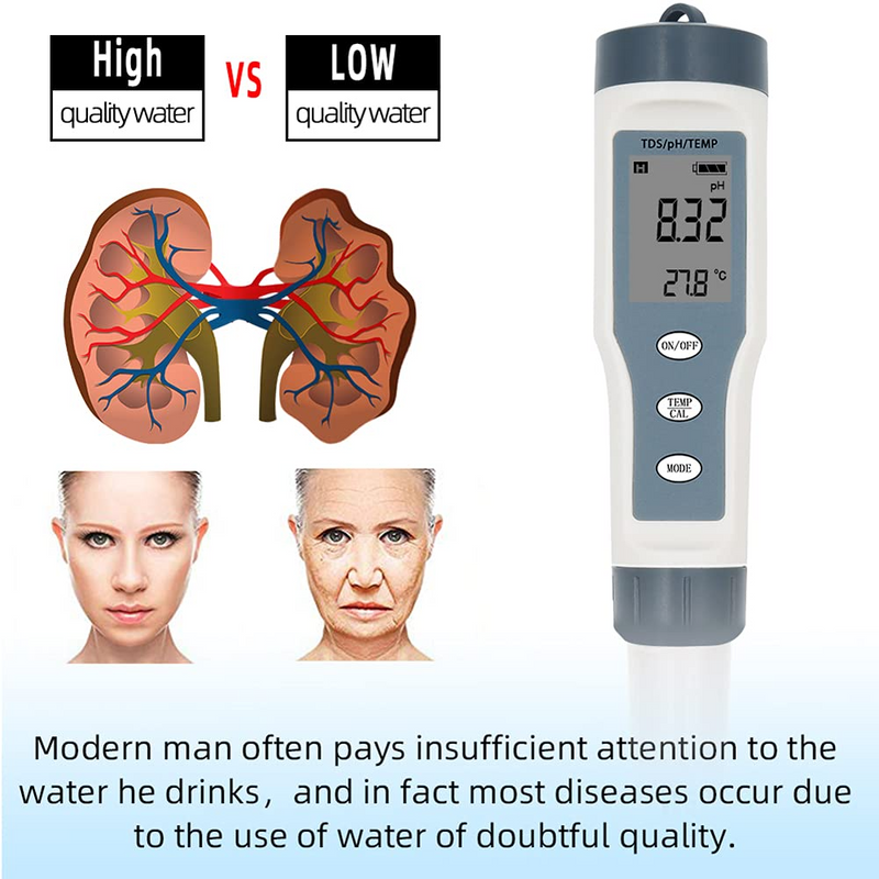 Digital pH Meter