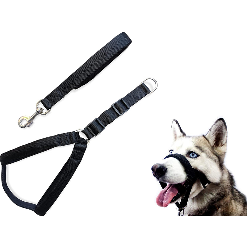 Adjustable dog head collar in black nylon from front view