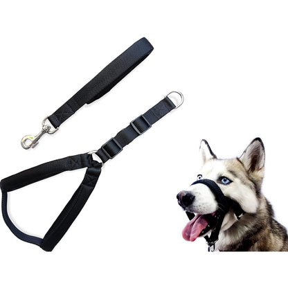 Adjustable dog head collar in black nylon from front view