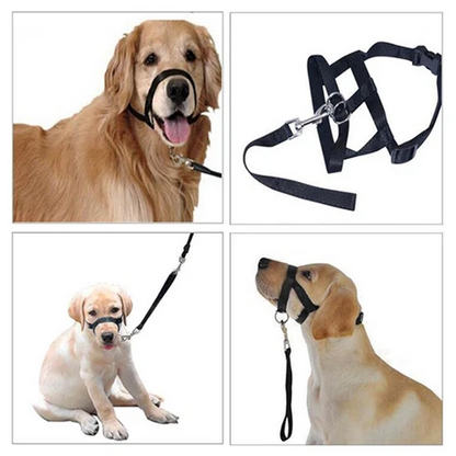Adjustable Pet Dog Head Collar