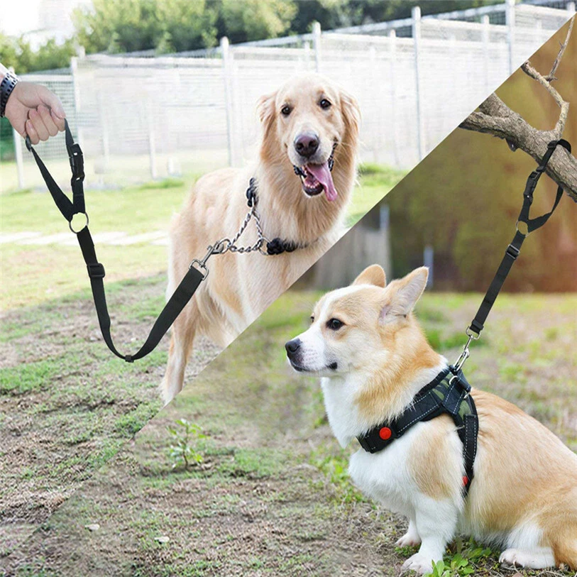 Adjustable Pet Dog Head Collar