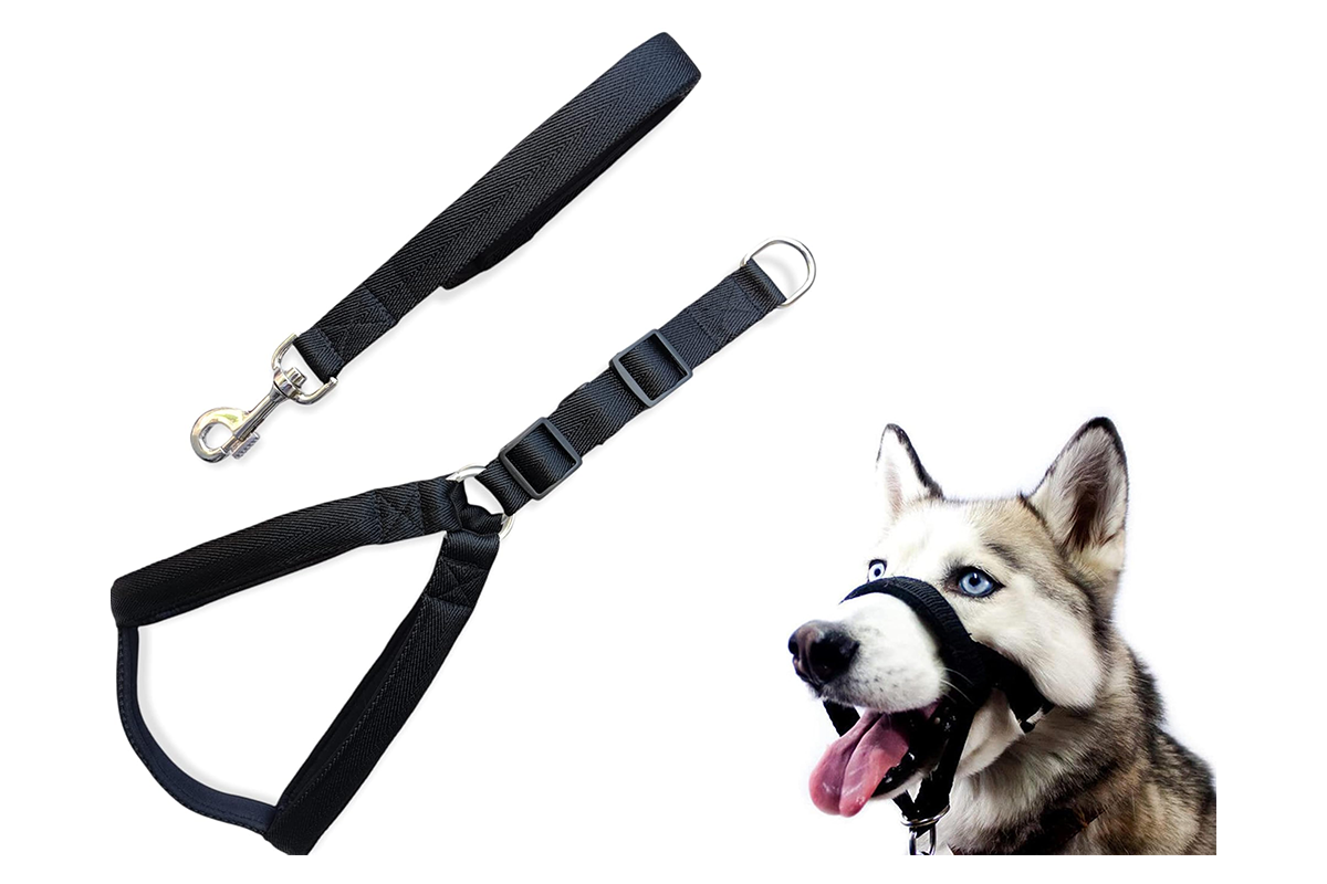 Side angle of adjustable dog head collar showing quick-release buckle
