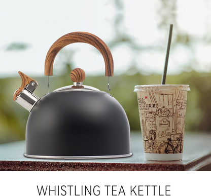 3L Smart Kettle Whistling Kettle (Stainless Steel)