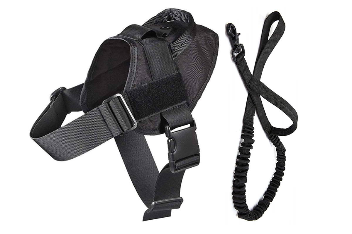 Adjustable straps on dog harness large size for secure fit