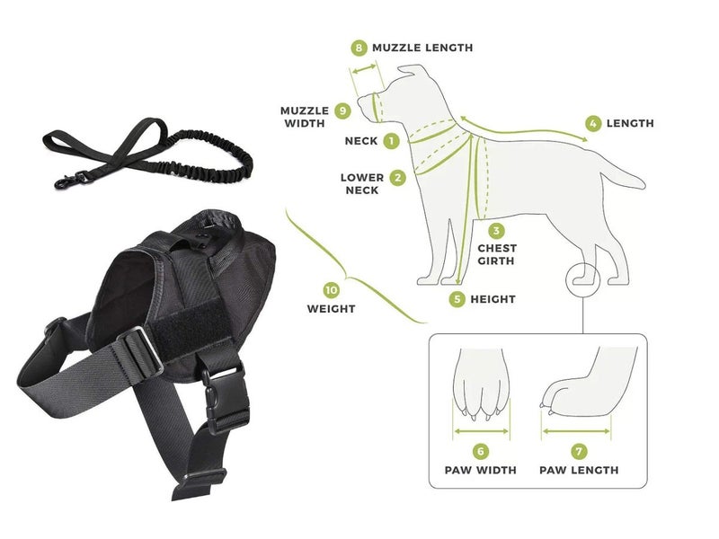 Dog Harness L Size
