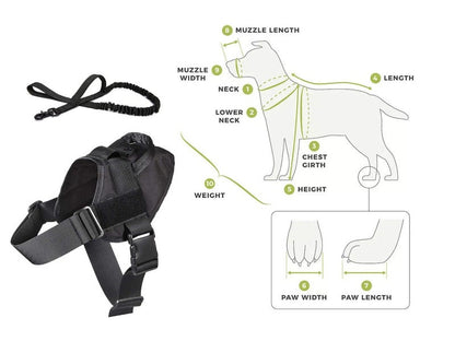 Dog Harness L Size