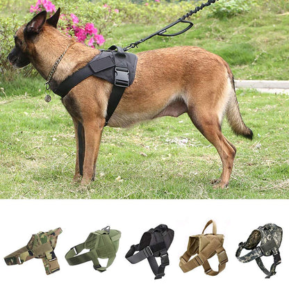 Dog Harness L Size