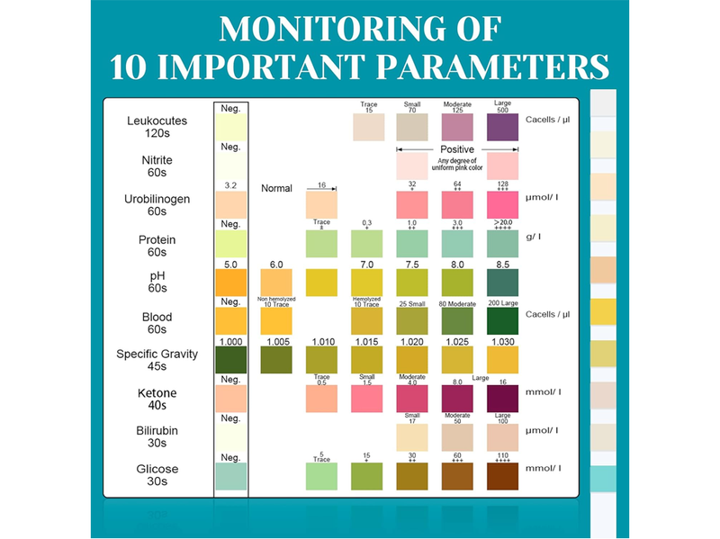 Urine PH Test Strips Protein Ketone Testing Strip