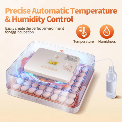 Automatic Egg Incubator  56-70 Eggs