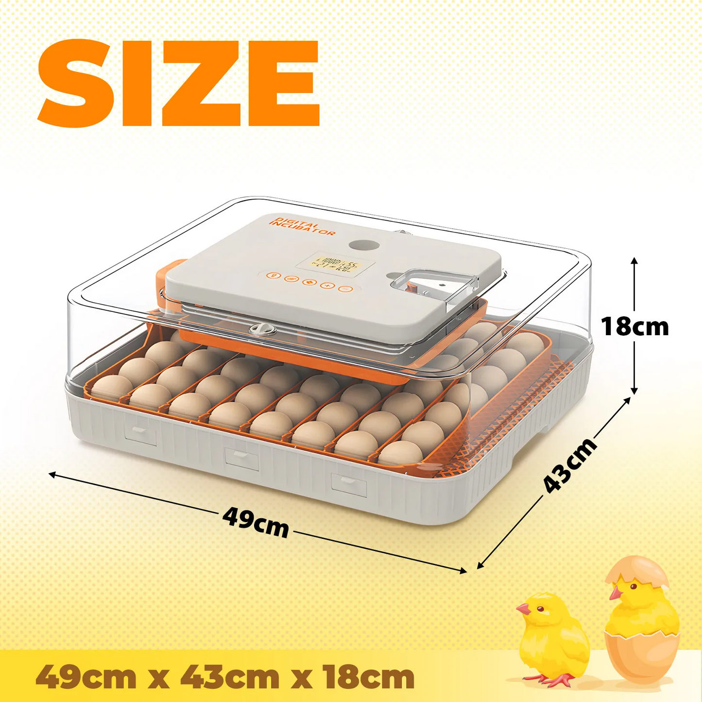 Automatic Egg Incubator  56-70 Eggs