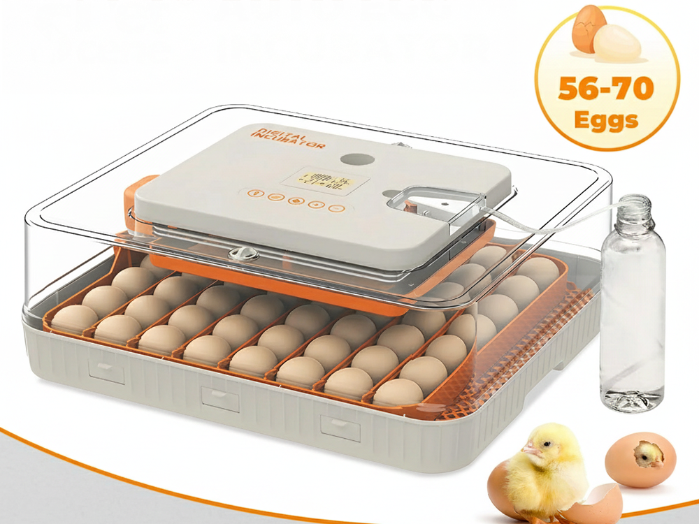 Automatic Egg Incubator  56-70 Eggs