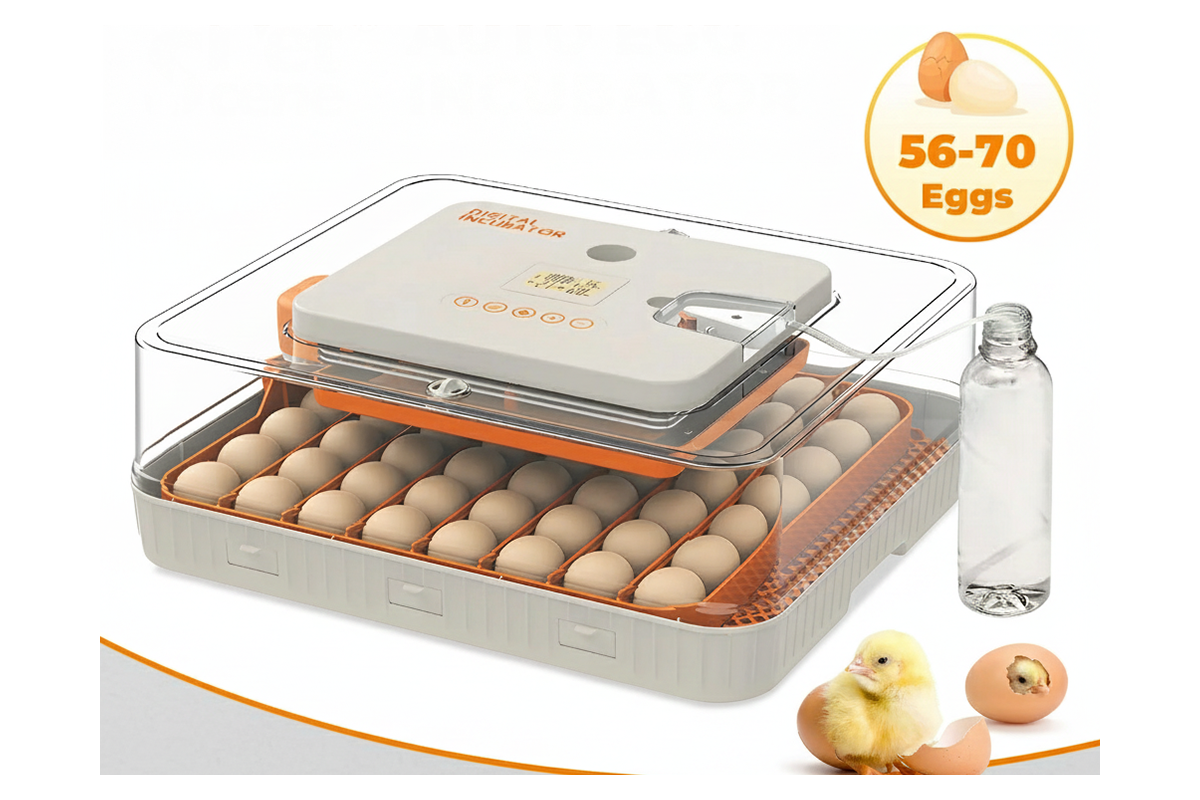 Top view of automatic egg incubator with transparent lid and egg trays