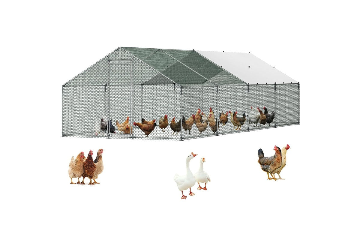Close-up of chicken coop powder-coated wire mesh