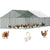 Chicken coop side view showing galvanized steel frame