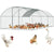 Chicken coop run side view showing galvanized steel frame