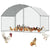 Outdoor chicken coop showing galvanised steel frame and mesh sides