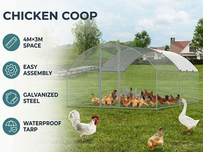Outdoor Chicken Coop