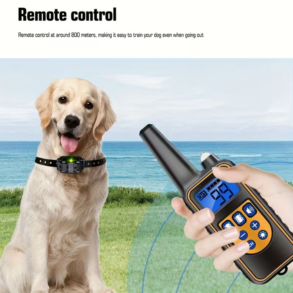 Dog Training Collar