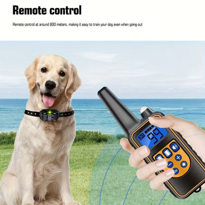 Dog Training Collar
