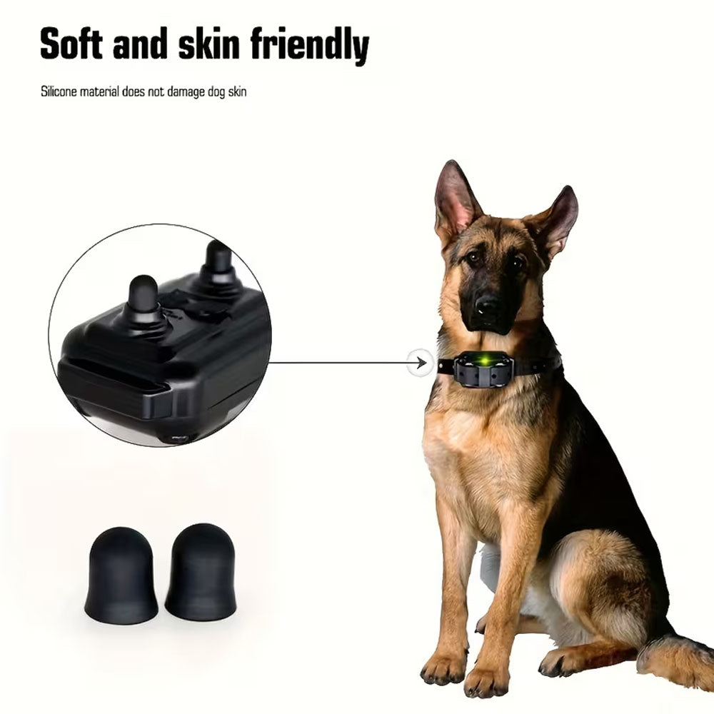 Dog Training Collar