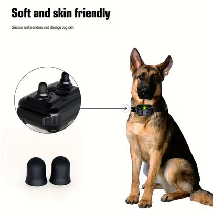 Dog Training Collar