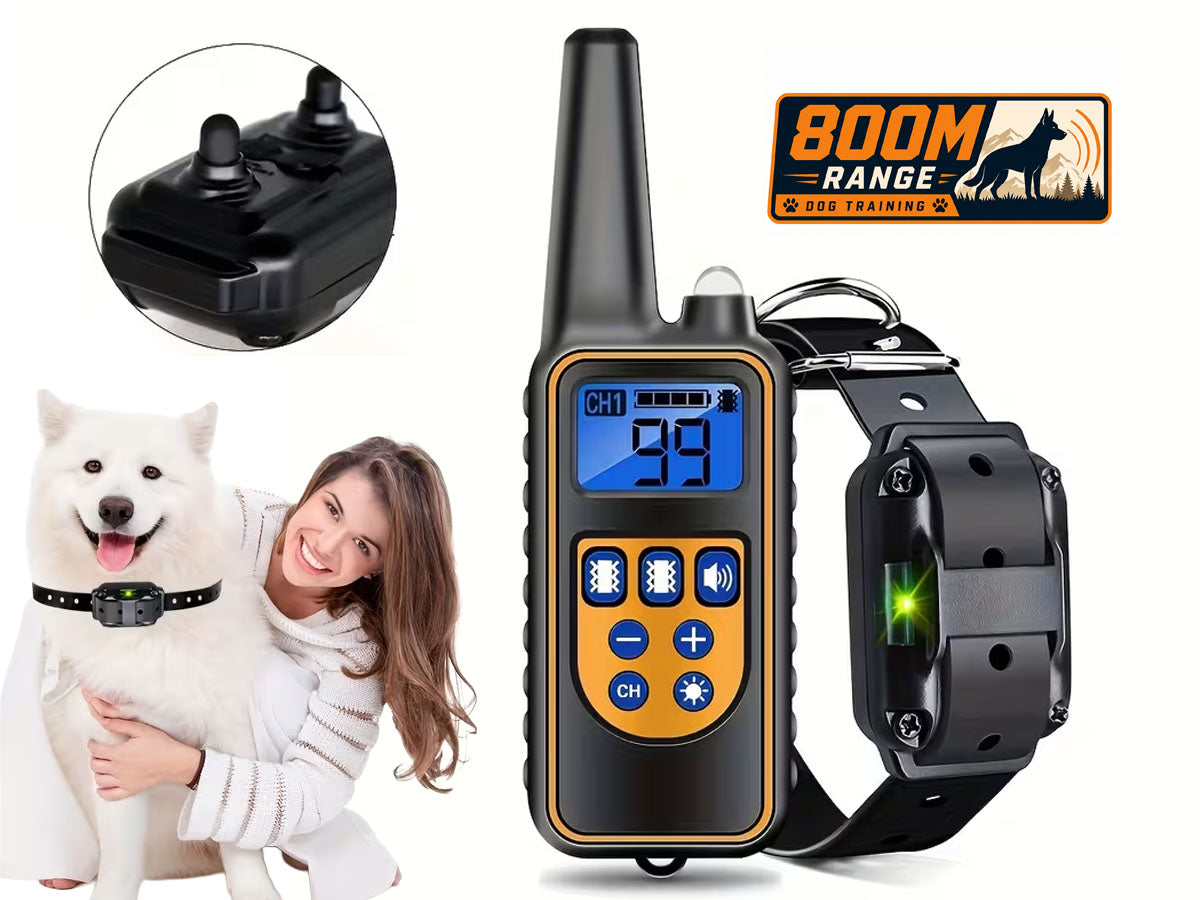 Dog Training Collar