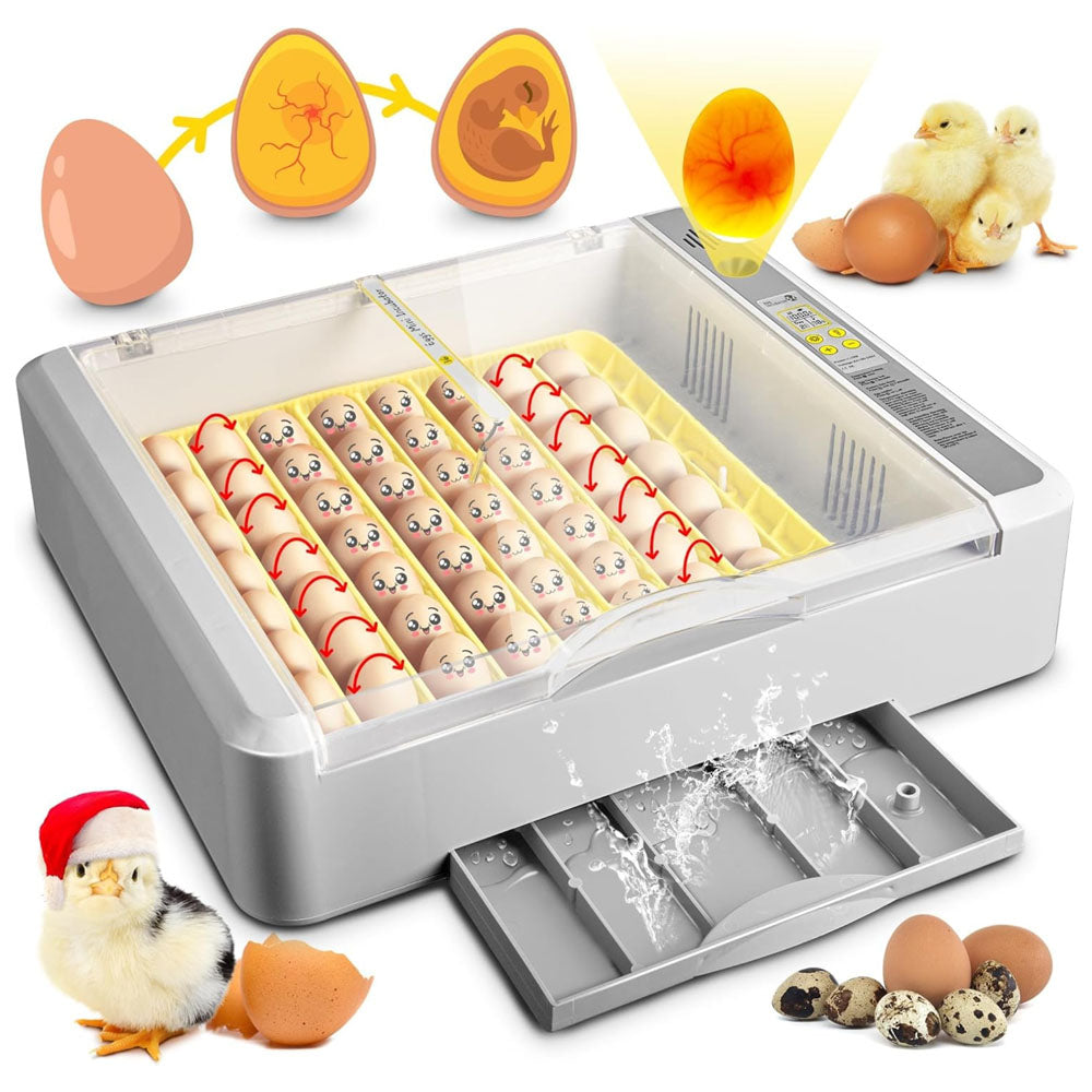 Egg Incubator Hatcher 36-120 Egg
