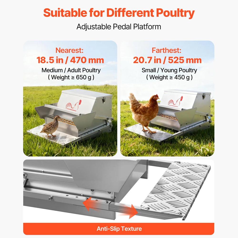 Automatic Chicken Feeder 20L